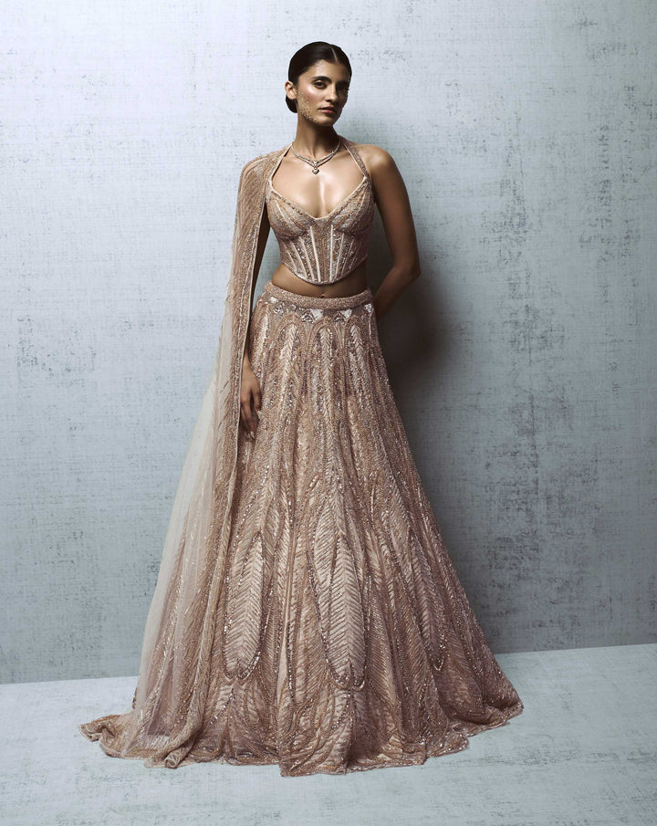 Celestial Crystal Lehenga