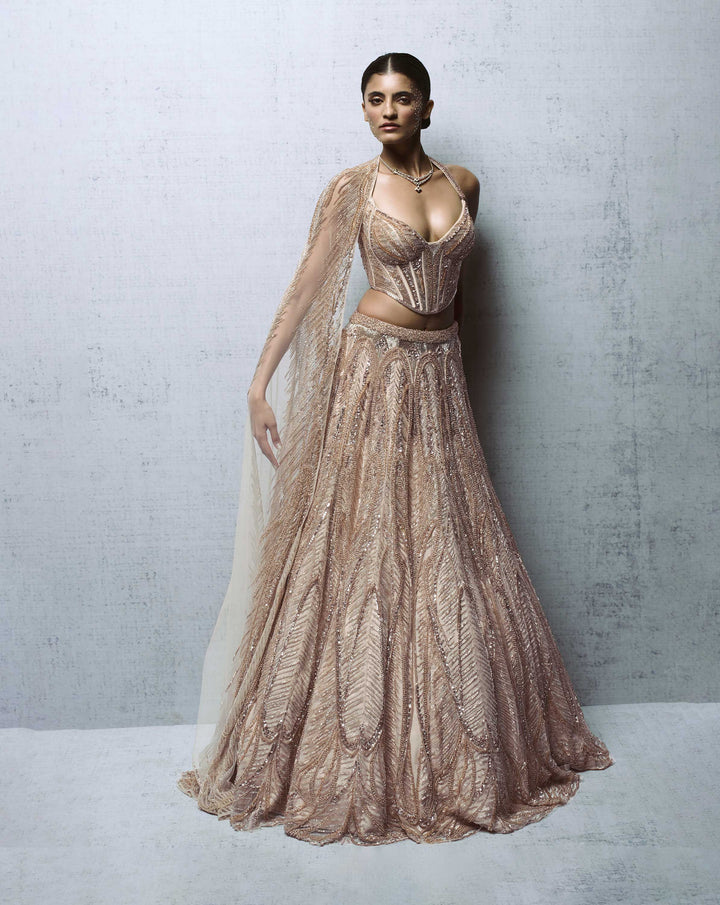 Celestial Crystal Lehenga