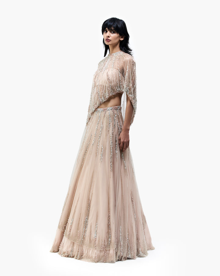 The Empyrean Lehenga
