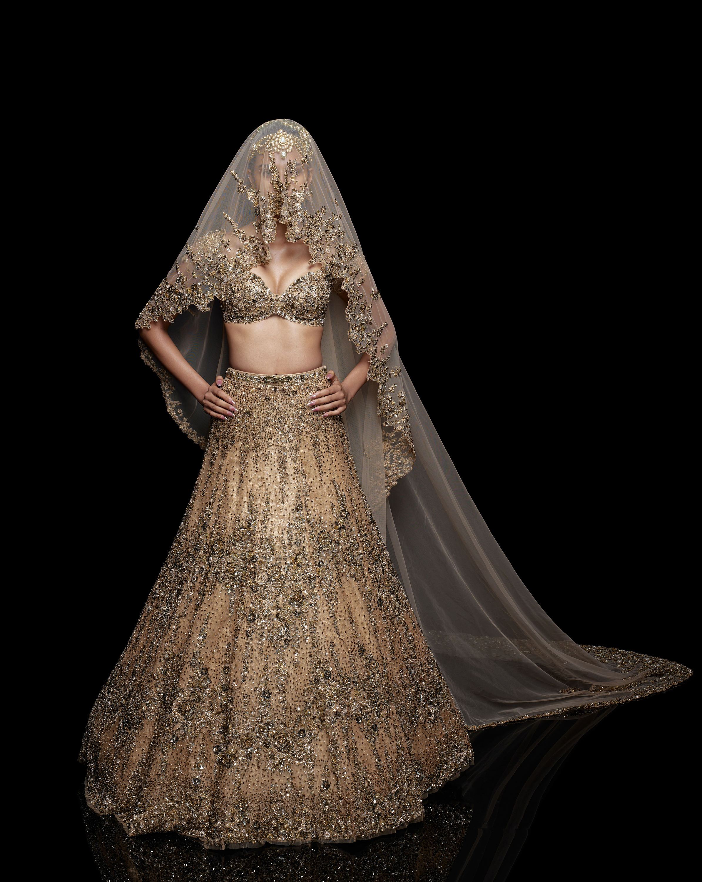 Golden Meadow Lehenga