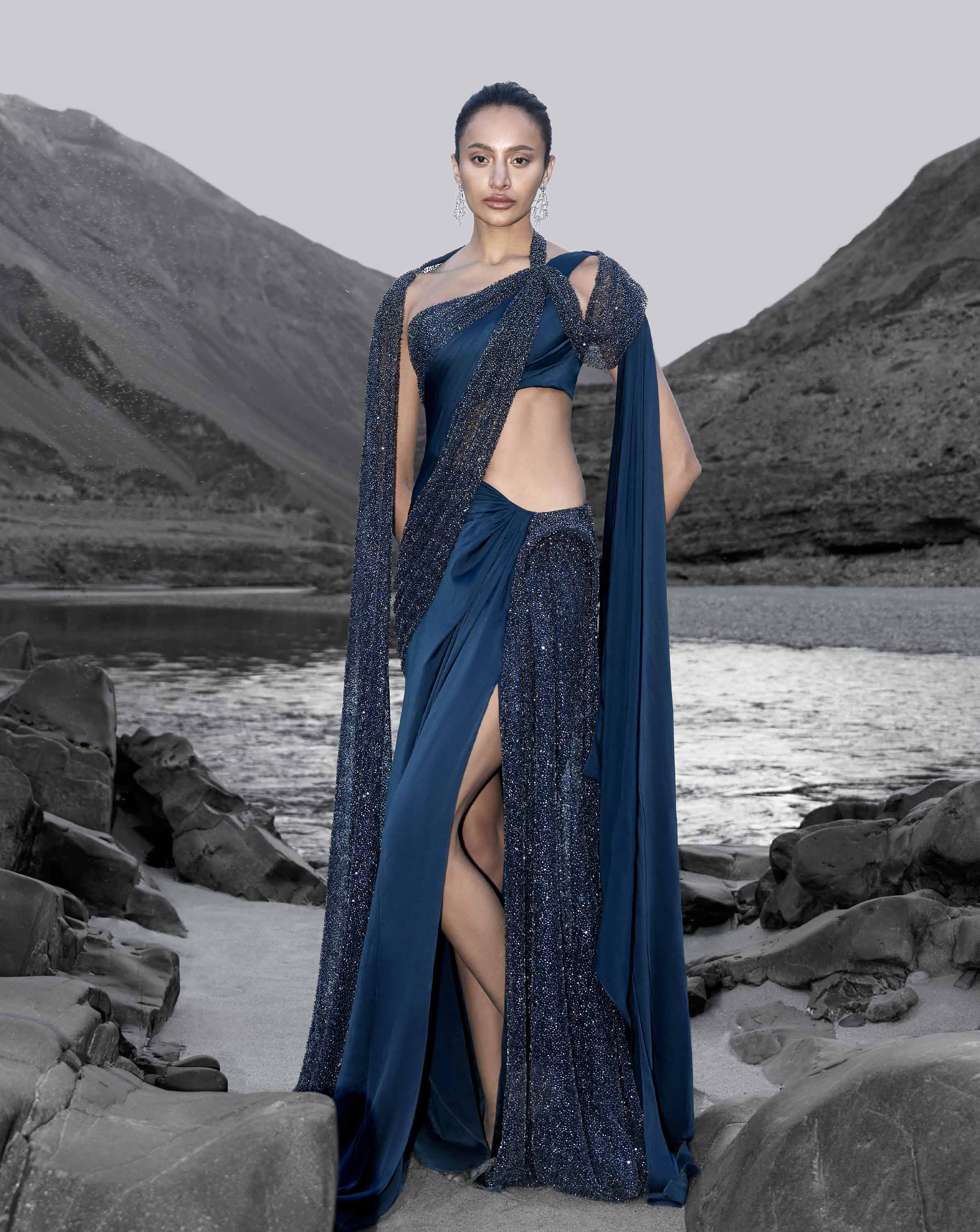 Midnight Veil Saree Gown
