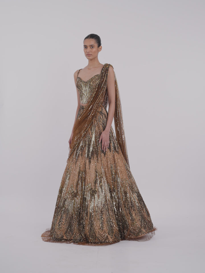 The Gilded Saree Lehenga
